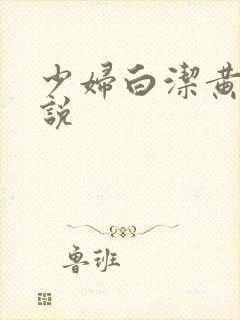 少妇白洁黄色小说