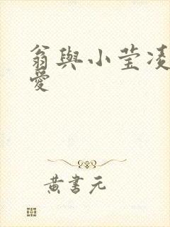 翁与小莹凌晨欢爱