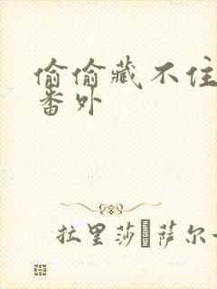 偷偷藏不住新婚番外