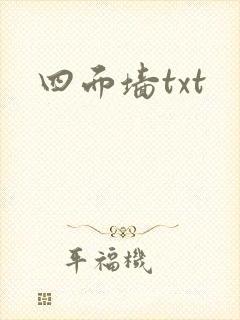 四面墙txt