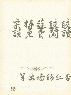 宋持苏皎皎的小说免费阅读