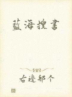 蓝海搜书