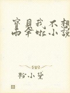 宝贝我不想带小雨伞啦小说