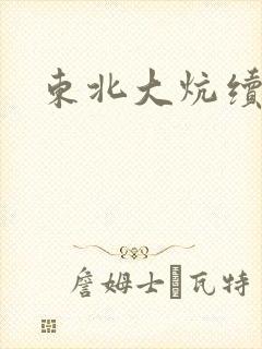 东北大炕续