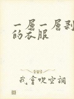 一层一层剥掉你的衣服