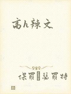 高h辣文