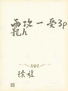 两攻一受3p双龙h