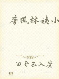唐枫林姨小说