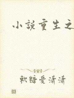 小说重生之官道