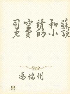 司空靖和苏月汐免费的小说笔趣阁