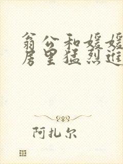 翁公和媛媛在厨房里猛烈进出