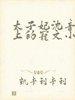 太子妃沈音和皇上的宠文小说