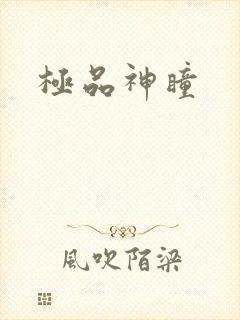 极品神瞳