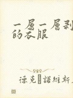 一层一层剥掉你的衣服