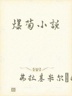 爆菊小说