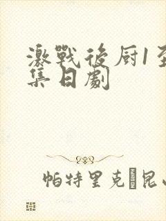 激战后厨1至5集日剧