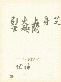 引火上身芝麻糖笔趣阁