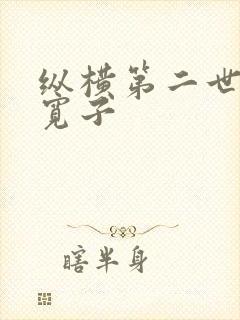 纵横第二世界 宽子