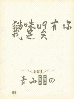 猫咪u9有你有我足矣