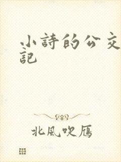 小诗的公交车日记