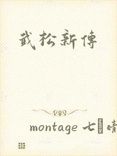 武松新传