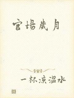 官场岁月
