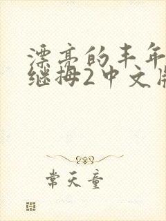 漂亮的丰年经的继拇2中文版