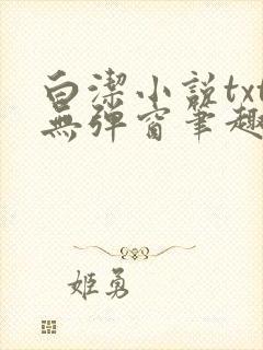 白洁小说txt无弹窗笔趣阁