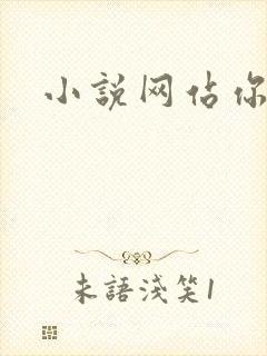 小说网站你懂的