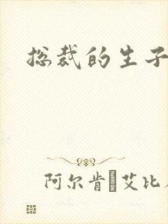 总裁的生子情人