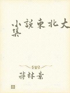 小说东北大炕全集