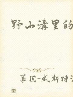 野山沟里的村庄