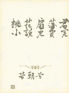 桃花扇落君不还小说免费完整版