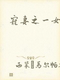 宠妻之一女二夫