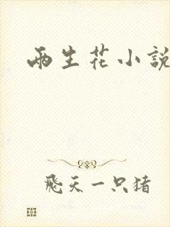 两生花小说
