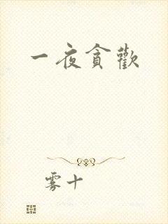 一夜贪欢