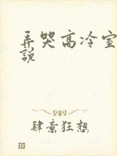 弄哭高冷室友小说