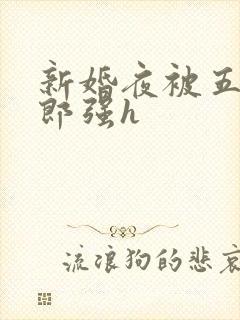 新婚夜被五个伴郎强h