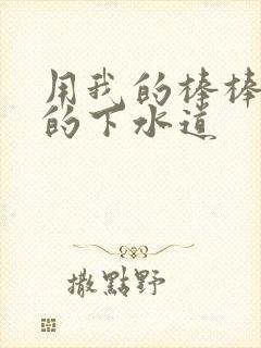 用我的棒棒通你的下水道