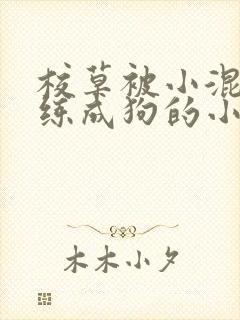 校草被小混混训练成狗的小说