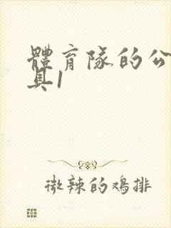 体育队的公用玩具1