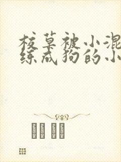 校草被小混混训练成狗的小说