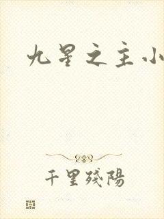 九星之主小说
