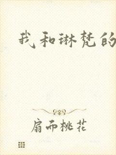 我和琳梵的故事