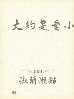 大约是爱小说