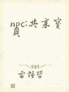 npc:共享宝贝