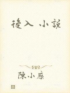 后入 小说