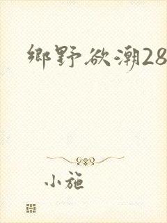乡野欲潮28章