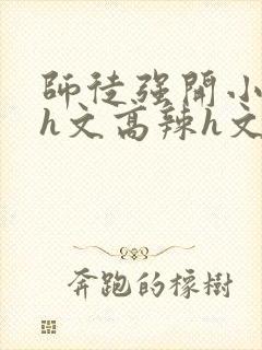 师徒强开小嫩苞h文高辣h文