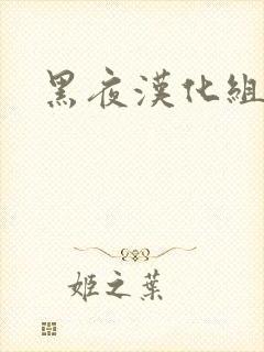 黑夜汉化组